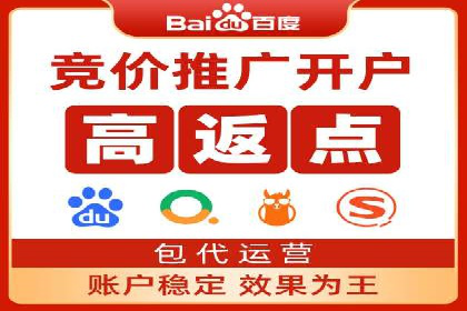 百度竞价推广公司成功案例：如何快速提升品牌曝光度